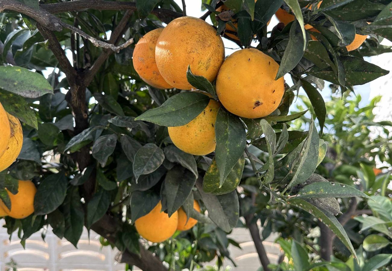 Villa in Nerja - Villa Jackson (La Casita): Private Pool Villa in Fuente del Badén, Nerja