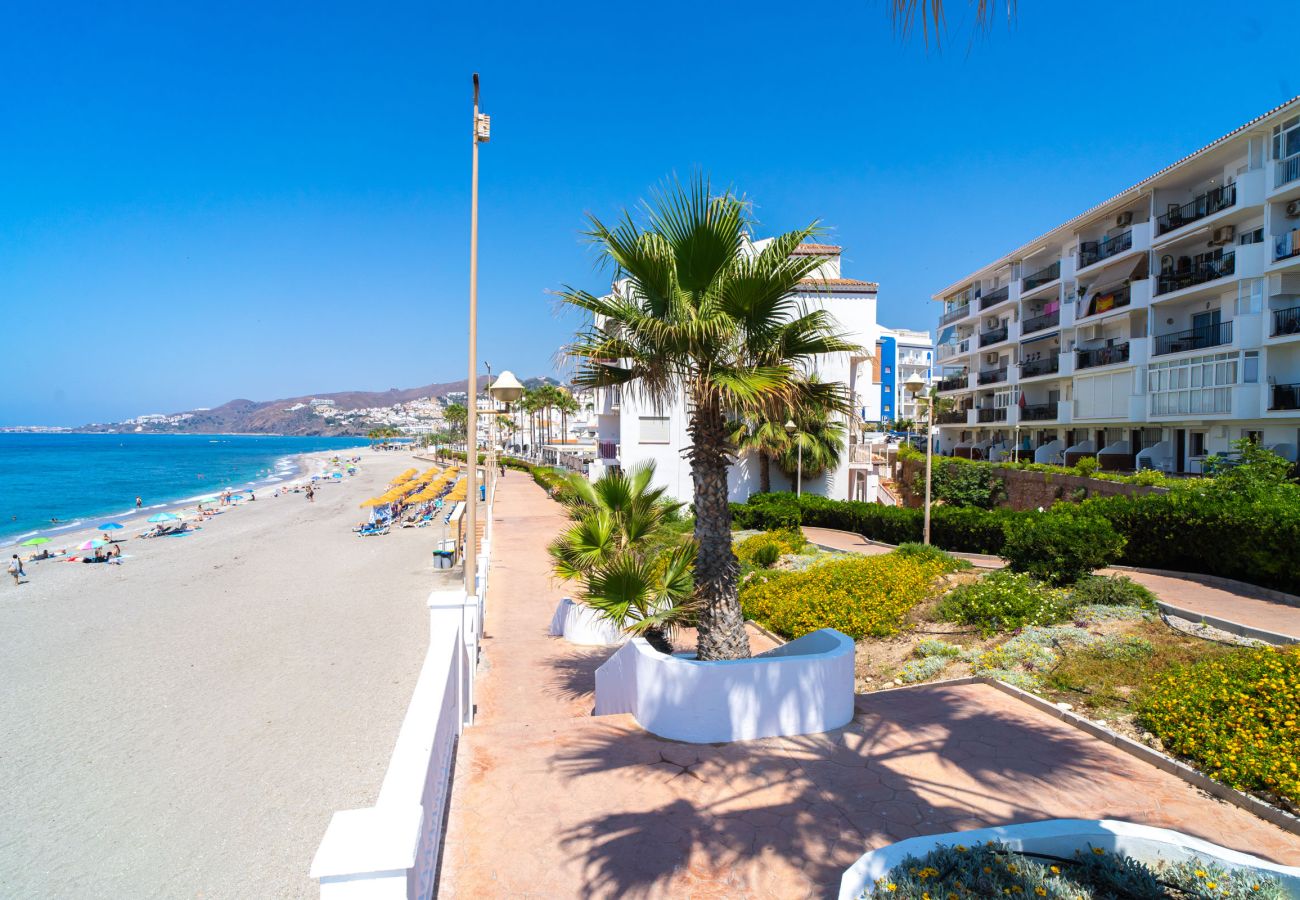 View of Torrecilla Beach and adjacent buildings from the surroundings of Arce 2 in Nerja.