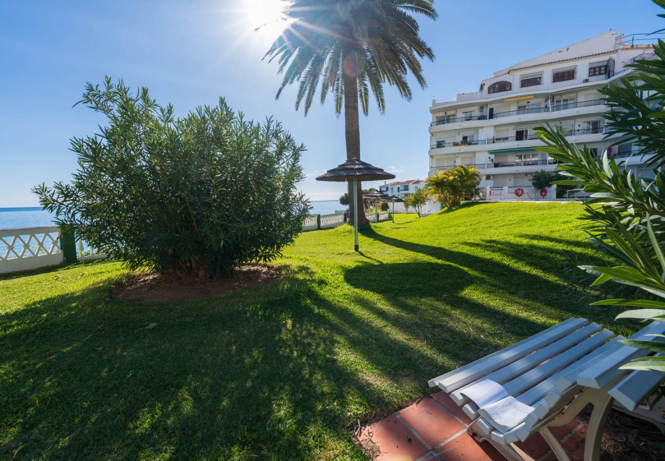 Välskötta trädgårdar runt poolen på komplexet Acapulco Playa