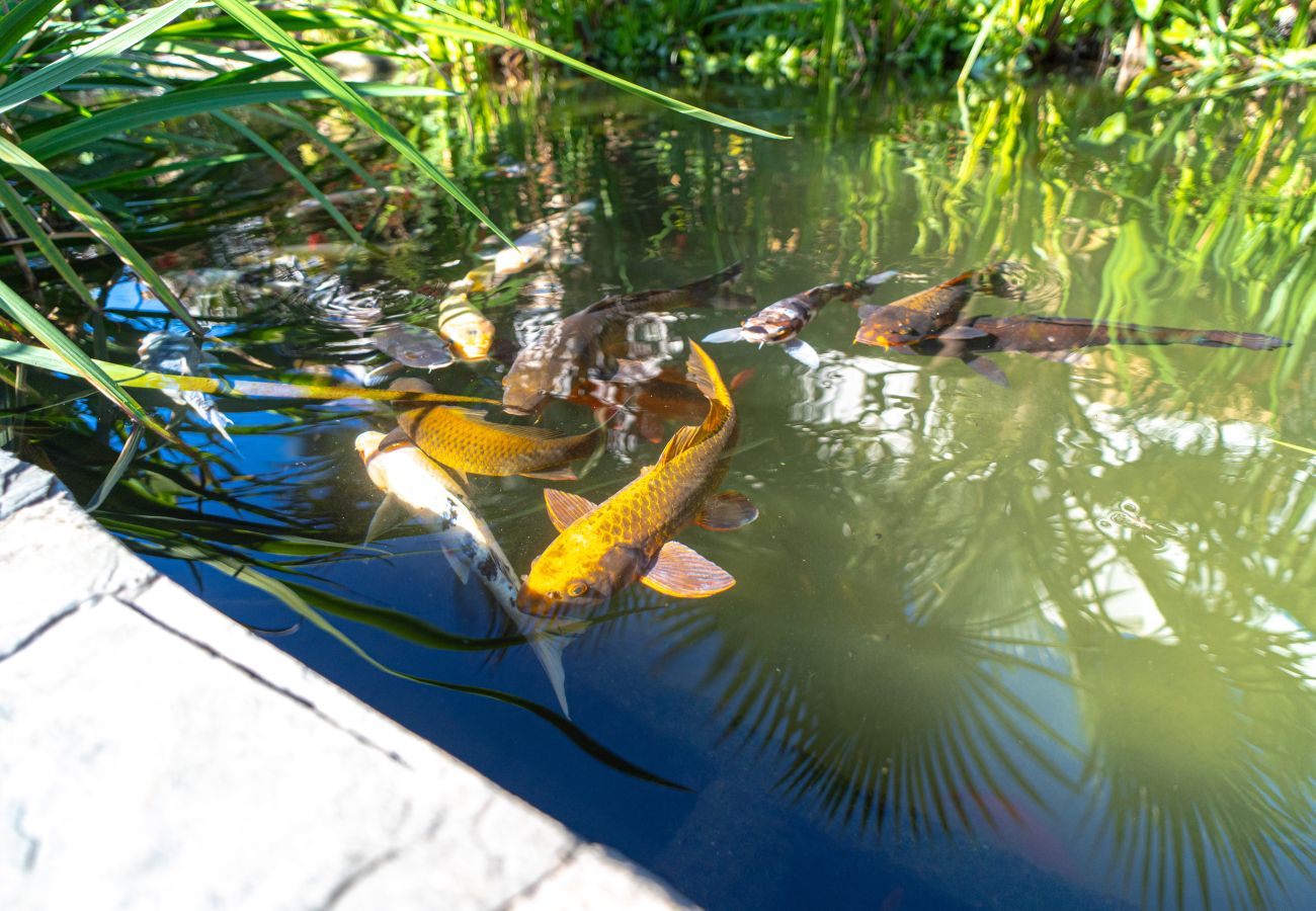 Lägenhet i Nerja - Casablanca Sunny Terrace by Casasol