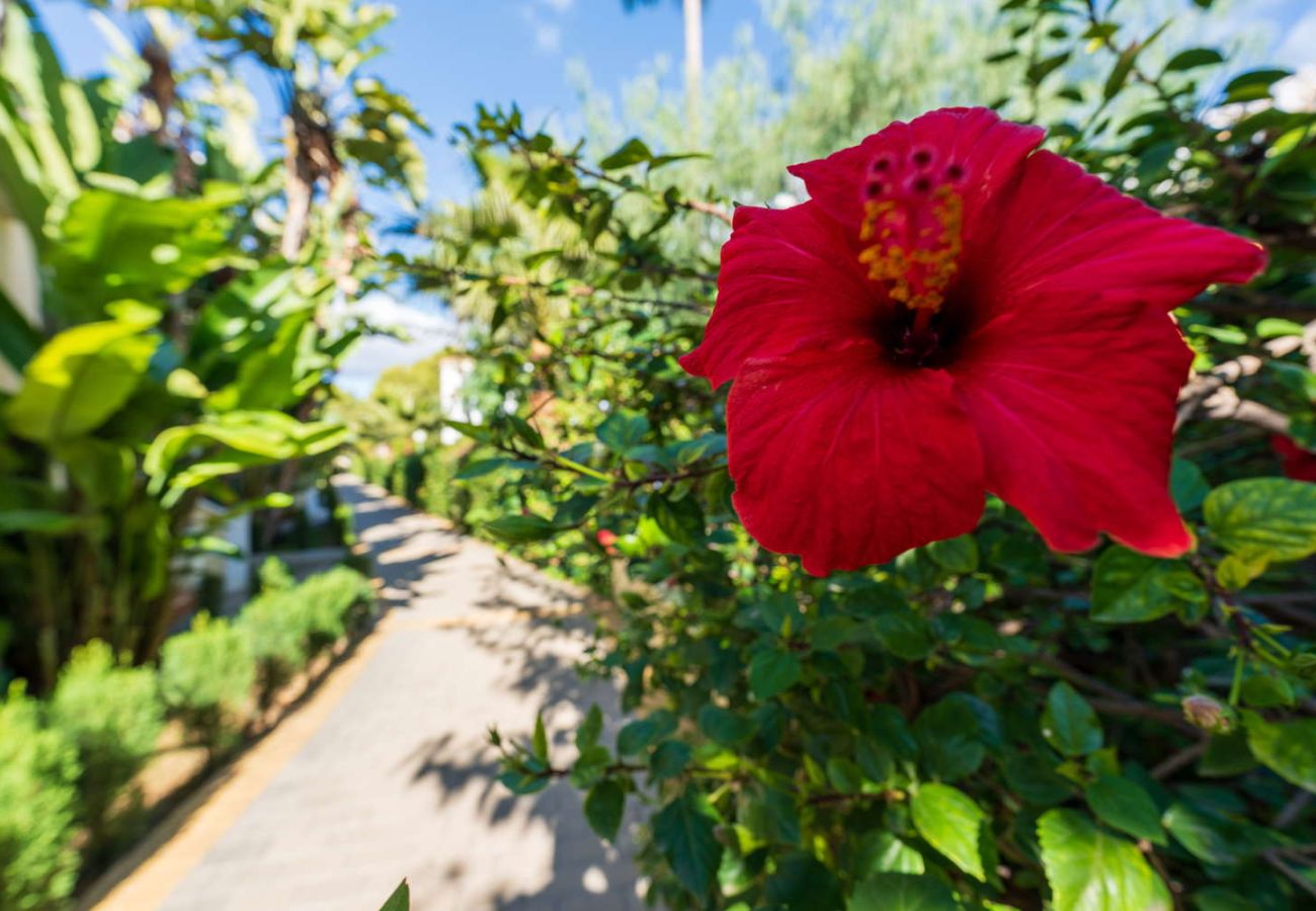 Radhus i Nerja - Jardines de Burriana Deluxe by Casasol