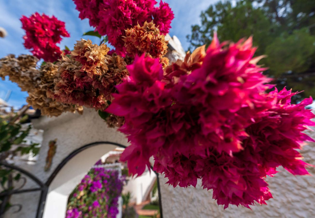 Lägenhet i Nerja - Casa Tranquila: Lägenhet med havsutsikt i San Juan de Capistrano, Nerja